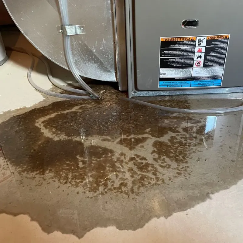 Pipe Burst and Leak Restoration in Livonia, MI