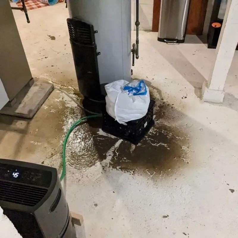 Sewage Backup Cleanup Service in Livonia, MI